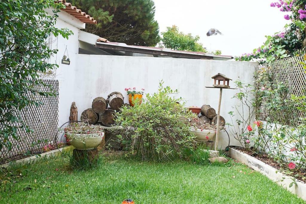 הוילה ריבמר Beija-Flor House מראה חיצוני תמונה